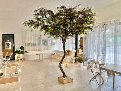 บรรยากาศ.