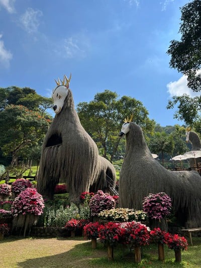 สวนแม่ฟ้าหลวง