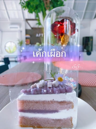 After Test Coffee Bar Aftertest Coffee Bar