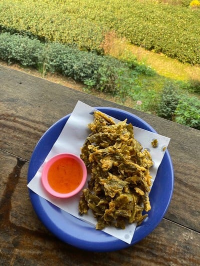 ใบชาทอดกรอบ