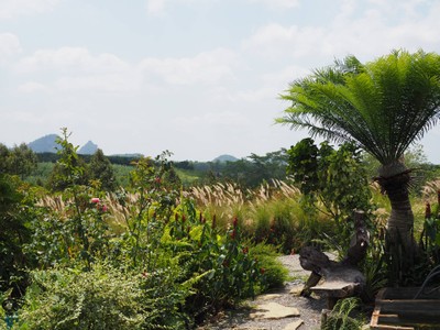 บรรยากาศ