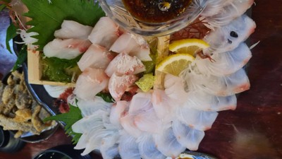 Sashimi แช่บาง ปลาตามะ (ปลาไทย)
