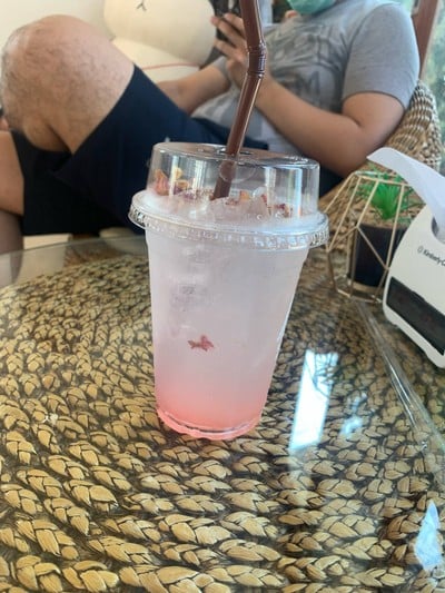 rose lemon soda