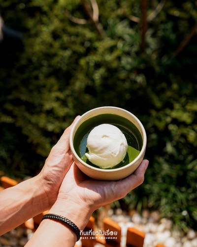 Koicha Matcha and Milk Ice Cream