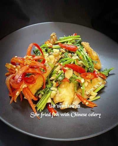 วิธีทำ ปลาผัดขึ้นฉ่าย แบบทอด 
