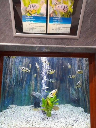 บรรยากาศ