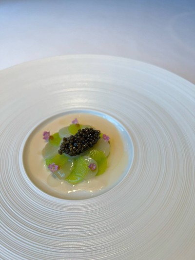 Scallop and Kristal cavier