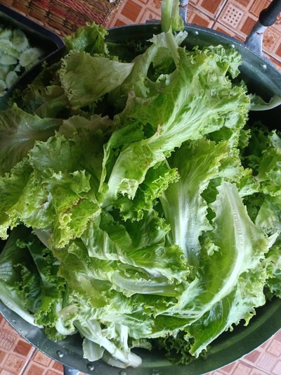 วิธีทำ ยำกุ้งสด #WongnaiCooking