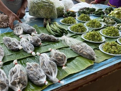 ตลาดสดเทศบาลนครสกลนคร(ตลาดบายพาส)