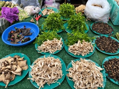 ตลาดสดเทศบาลนครสกลนคร(ตลาดบายพาส)