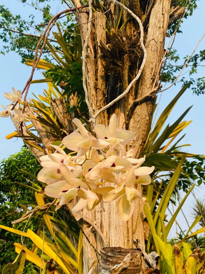 บริเวณโดยรอบ