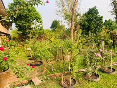 บริเวณโดยรอบ