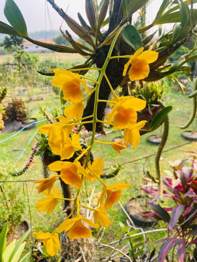 บริเวณโดยรอบ