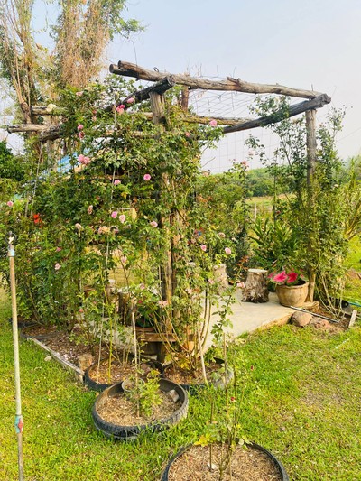 บริเวณโดยรอบ