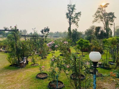 บริเวณโดยรอบ