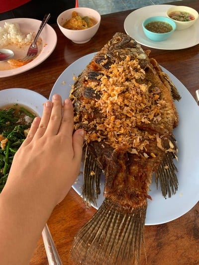 ปลานิลทอดกระเทียม
