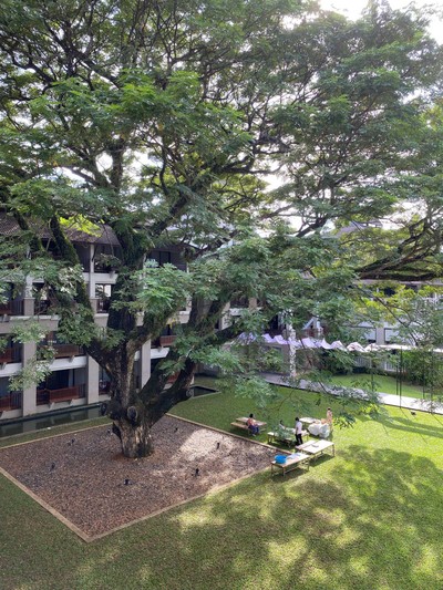 วิวนอกห้อง