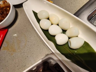 ไข่นกกะทา