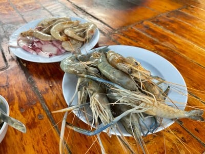 จ๊อบแจ๊บ บุฟเฟ่ต์หมูกระทะทอง