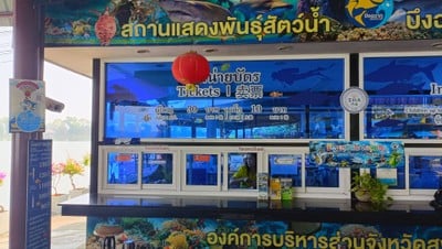 อัตราค่าบริการ