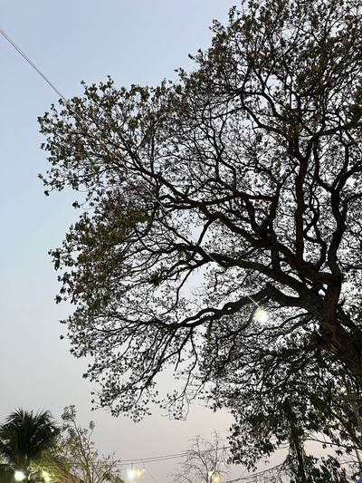 บรรยากาศ