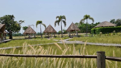 บรรยากาศ