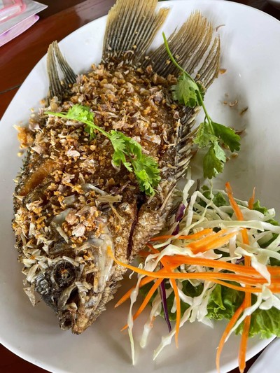 ปลาแรดทอดกระเทียม