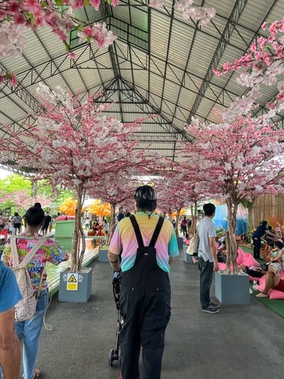 อื่นๆ