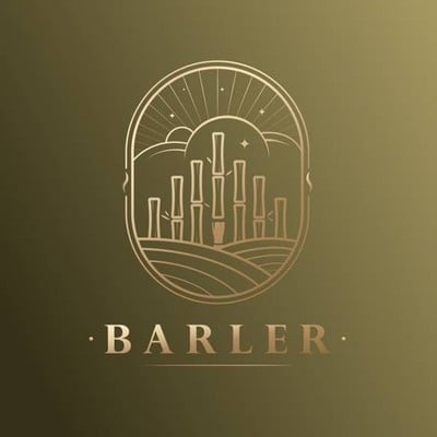 Barler ตำบลในเมือง