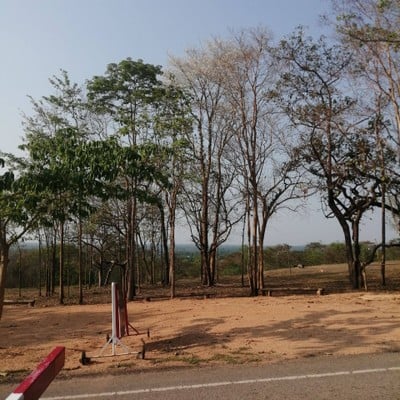 บรรยากาศ อุทยานแห่งชาติภูผายล