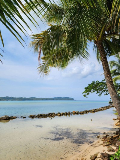 สระว่ายน้ำ/ชายหาด