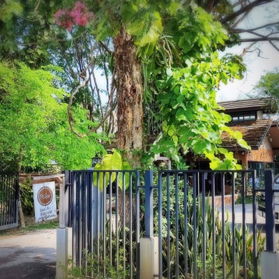 หน้าร้าน