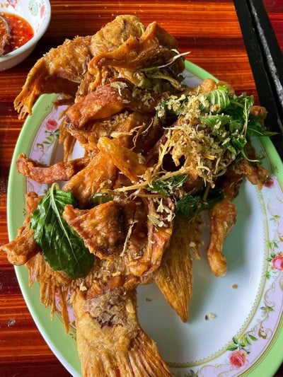 แดงแกงป่า