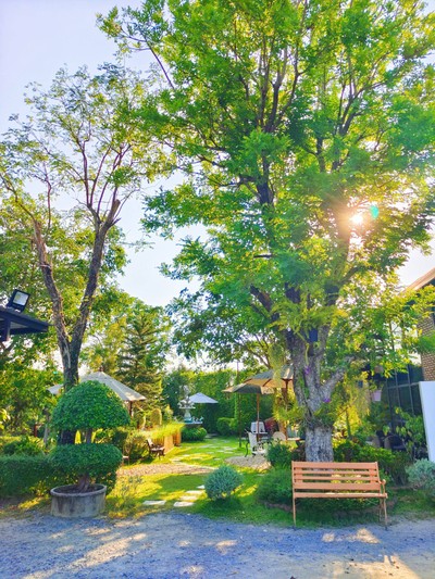 บรรยากาศ