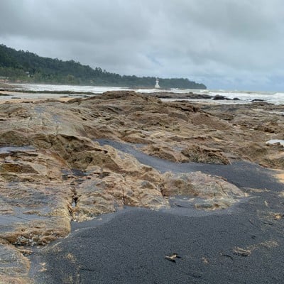 หาดนางทอง