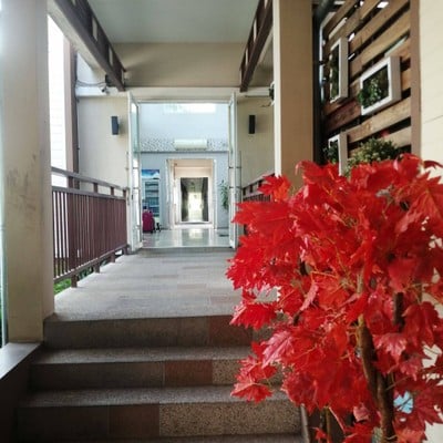 บริเวณโดยรอบ