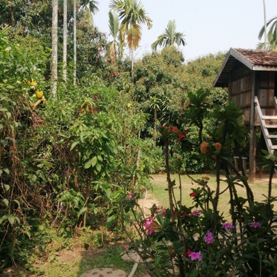 บรรยากาศ