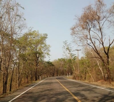 บรรยากาศ อุทยานแห่งชาติภูผายล