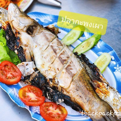 ปลากะพงเผาเกลือ