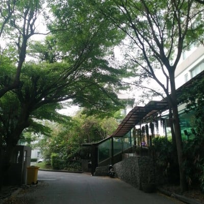 บริเวณโดยรอบ