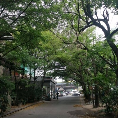 บริเวณโดยรอบ