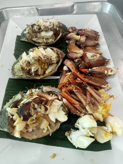 ปูม้าแกะ