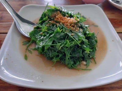 ผักหวานผัดน้ำมันหอย