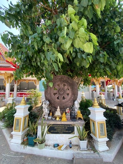 วัดท่าหลวง