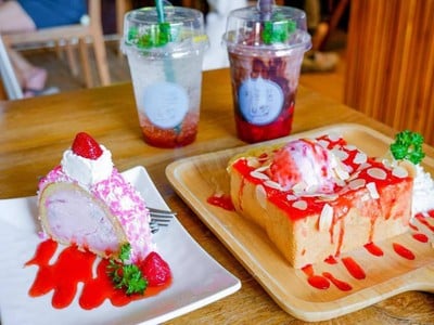 The Ugly Duckling Learning Farm