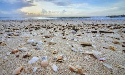 หาดจอมพล