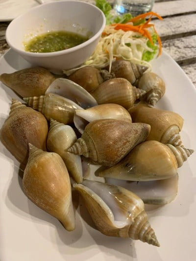 หอยชักตีน