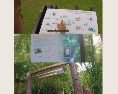 กางเต็นท์ เล่นน้ำ พิกัดลับ น้ำตกห้วยโต้ จ.กระบี่