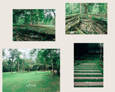 กางเต็นท์ เล่นน้ำ พิกัดลับ น้ำตกห้วยโต้ จ.กระบี่