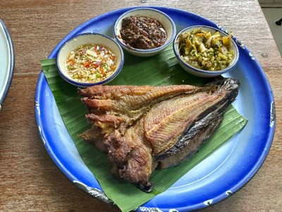 ปลาดุกหลายแดดย่าง